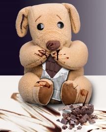 Publicity: Ted E Bare loves chocolate - Adam Shane Photography